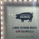 싸돼지의품격 이미지