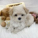 튀는아이들 이미지