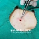 새봄외과의원 이미지