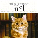 듀이