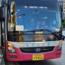 사단법인한국시각장애인연합회영월지회 | [사단법인서울시시각장애인연합회종로구지회] 2024.10.26(토) 포천 사과따기 체험 행사
