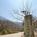 새생명힐링센터 | 국립화천숲속야영장 | 힐링되는 숲속휴양림 | 명당 후기