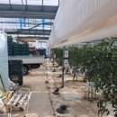 주덕읍사무소 이미지