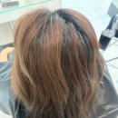 여수 죽림 동물병원 | 여수 죽림미용실 하렛하우스 염색 맛집 유정원장추천!!