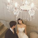 비니비치 이미지