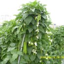 대촌농장 이미지