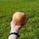 복상농장 이미지