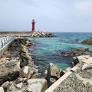 홍가네식당 이미지