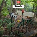 고양누리길 4코스 행주누리길 | 조용하게 산책 겸 운동하고 싶을 때 고양누리길 (feat.4코스 행주누리길)