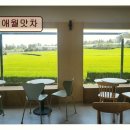 애월맛차 네이버블로그