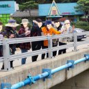 삶디자인 교육 협동조합 이미지