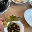 [청주 맛집] 남일면 효촌맛집 가마솥추어매운탕