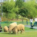 남동목장 이미지