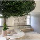 나무동물병원 이미지