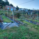 오차드 123 이미지