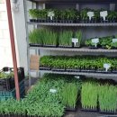 푸른행복농장 이미지