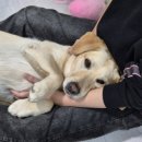 아이센스리그PC 창원합성본점 이미지