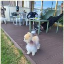 동방카페