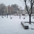 무실초등학교 이미지