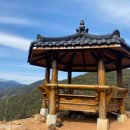 편백자연휴양림 이미지