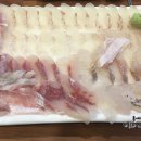 바다속회