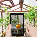 한드미 마을 이미지