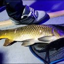 신월낚시터 이미지