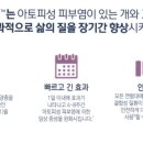 하인츠동물병원 네이버블로그