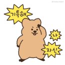 [제이웨딩 스드메 계약] (스)아키스튜디오, arkki_studio 계약 후기(피아, 르노브)