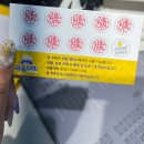 와플대학양평캠퍼스