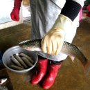 강화도 자연산 참숭어 맛보러 갑니다.(2/5토, 마니산 산행 공지) 이미지