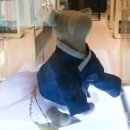 솔메이트 이미지