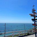 중문관광로 이미지