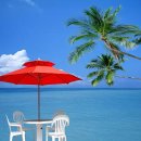 아름다운 이미지