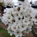 청하농장 이미지