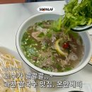 몬안베띠과천 | 과천 쌀국수 맛집 ‘몬안베띠’ 엄마픽 재방문 맛집