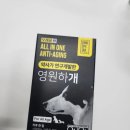 오래살랩 올인원 안티에이징 영양제 영원하개 후기 / 강아지기관지협착증 에 좋은 영양제