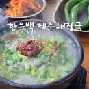 창원 해장국 맛집 한유백 제주해장국에서 든든한 한끼