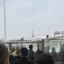 DA067 | 2023 포르투갈 포르투, 마데이라 여행 3일차 / 마데이라 라이언에어, 마데이라 스쿠터렌트, 푼샬 맛집...