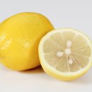 냉동 레몬의 재탄생 이미지