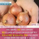 샬롯