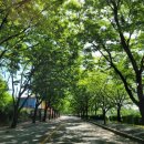 ~20230510수
