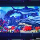 미디어아트<오로라를 이미지