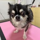 멍키매직 이미지