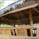 안개로가로수 이미지