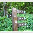 오방길(산성길) 이미지