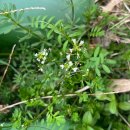 은하꽃들어린이집 이미지