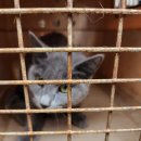 양신초등학교 이미지