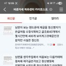 부산진여자상업고등학교 이미지