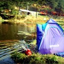 덕송2로 이미지